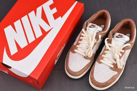 Dunk Low Nike Curry DD1390-100 Medium 0306